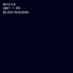 #01011A - Black Russian Color Image
